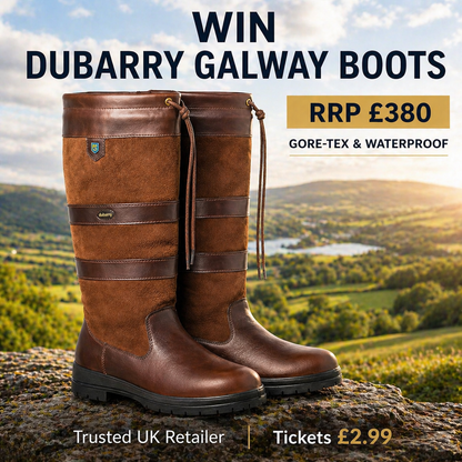 Won - £380 Dubarry Galway Leather Boots